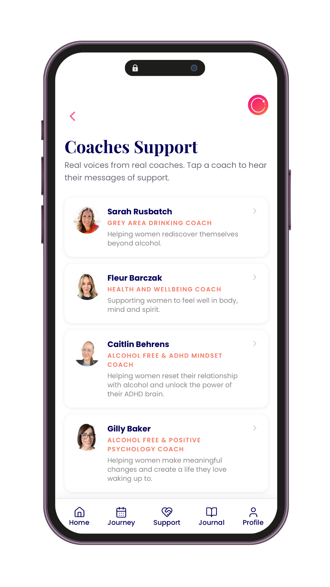 RESET Coaches Support overview screen
